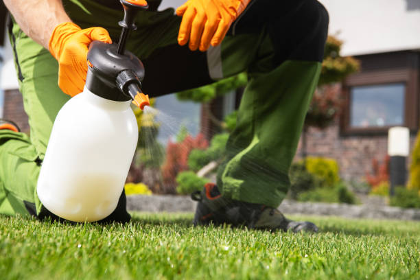 Best Flea Control Services  in Rotonda, FL
