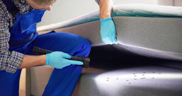 Best Emergency Pest Control  in Rotonda, FL