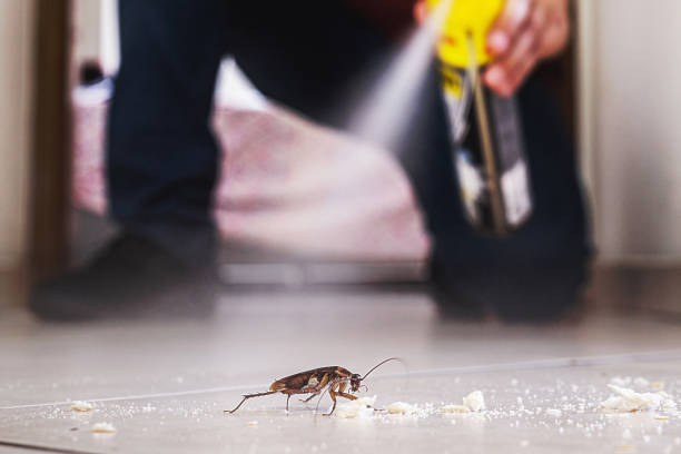 Best Cockroach Control Services  in Rotonda, FL