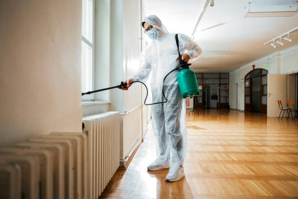 Professional Pest Control in Rotonda, FL