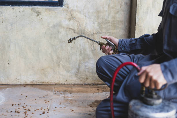 Best Best Pest Control Companies  in Rotonda, FL